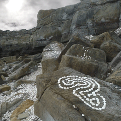 Picture of Shell Labyrinth