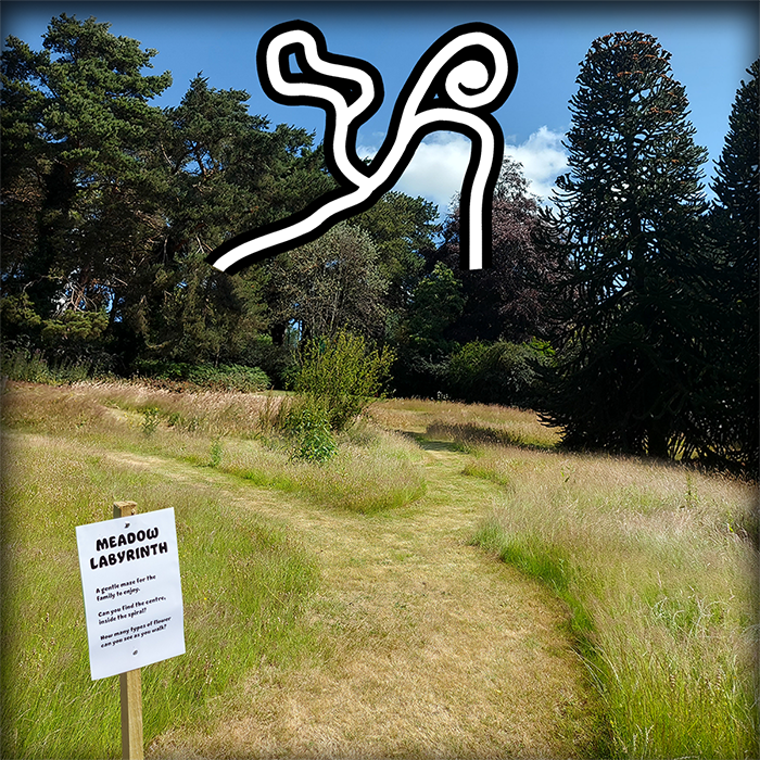 Picture of Mown Labyrinth