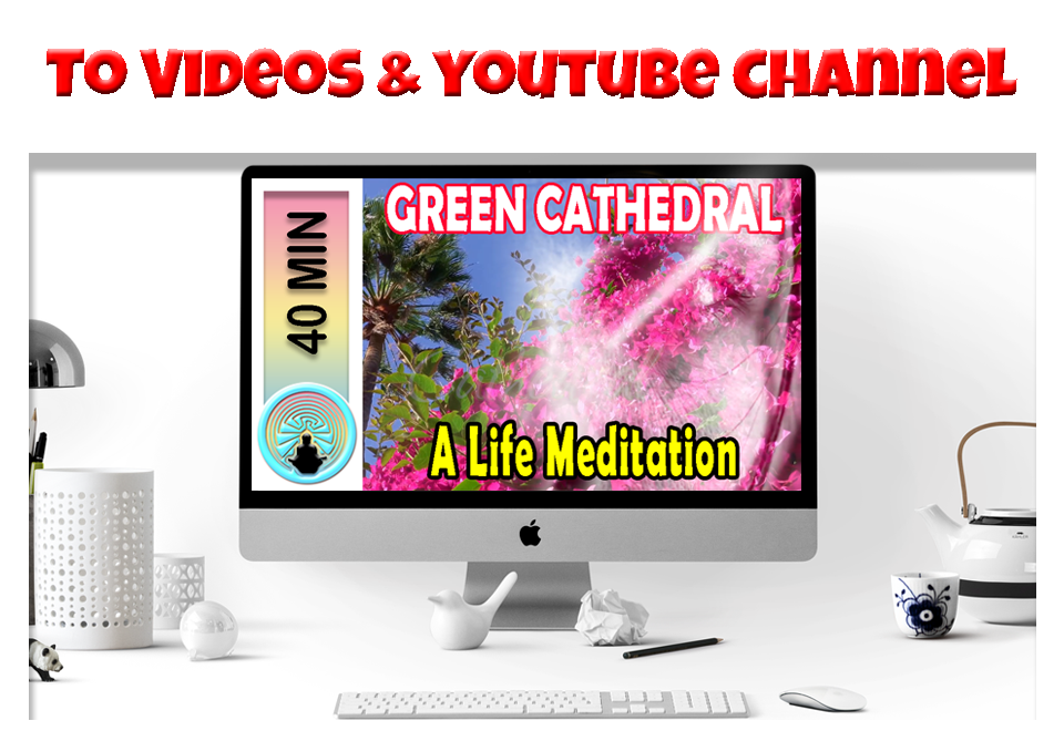 to Videos and YouTube Channel pages