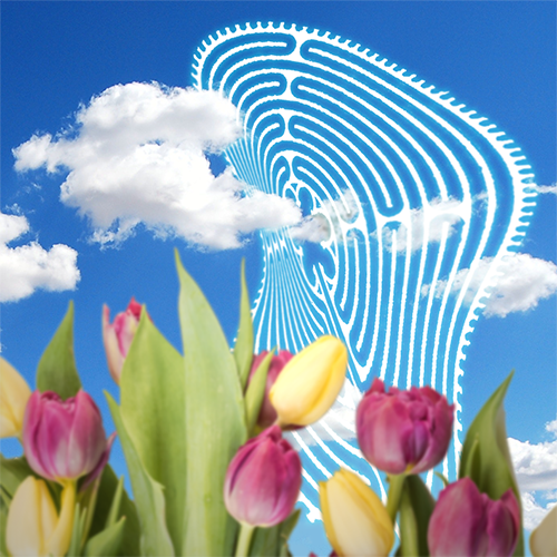 Picture of labyrinth