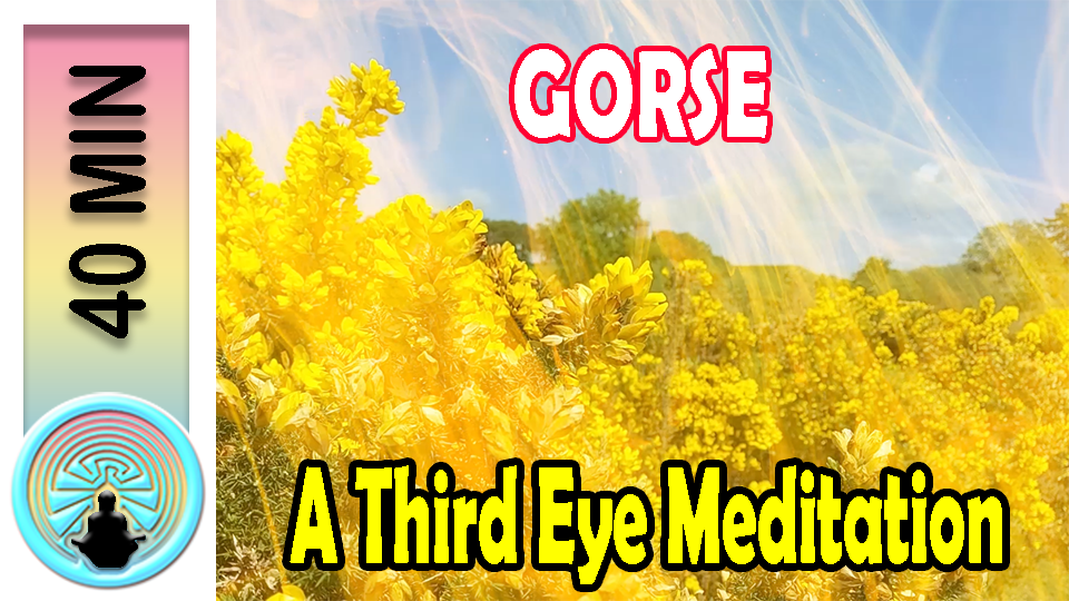 Picture of meditation thumbnail