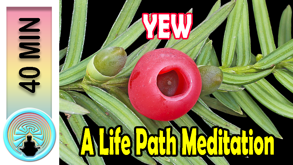 Picture of meditation thumbnail